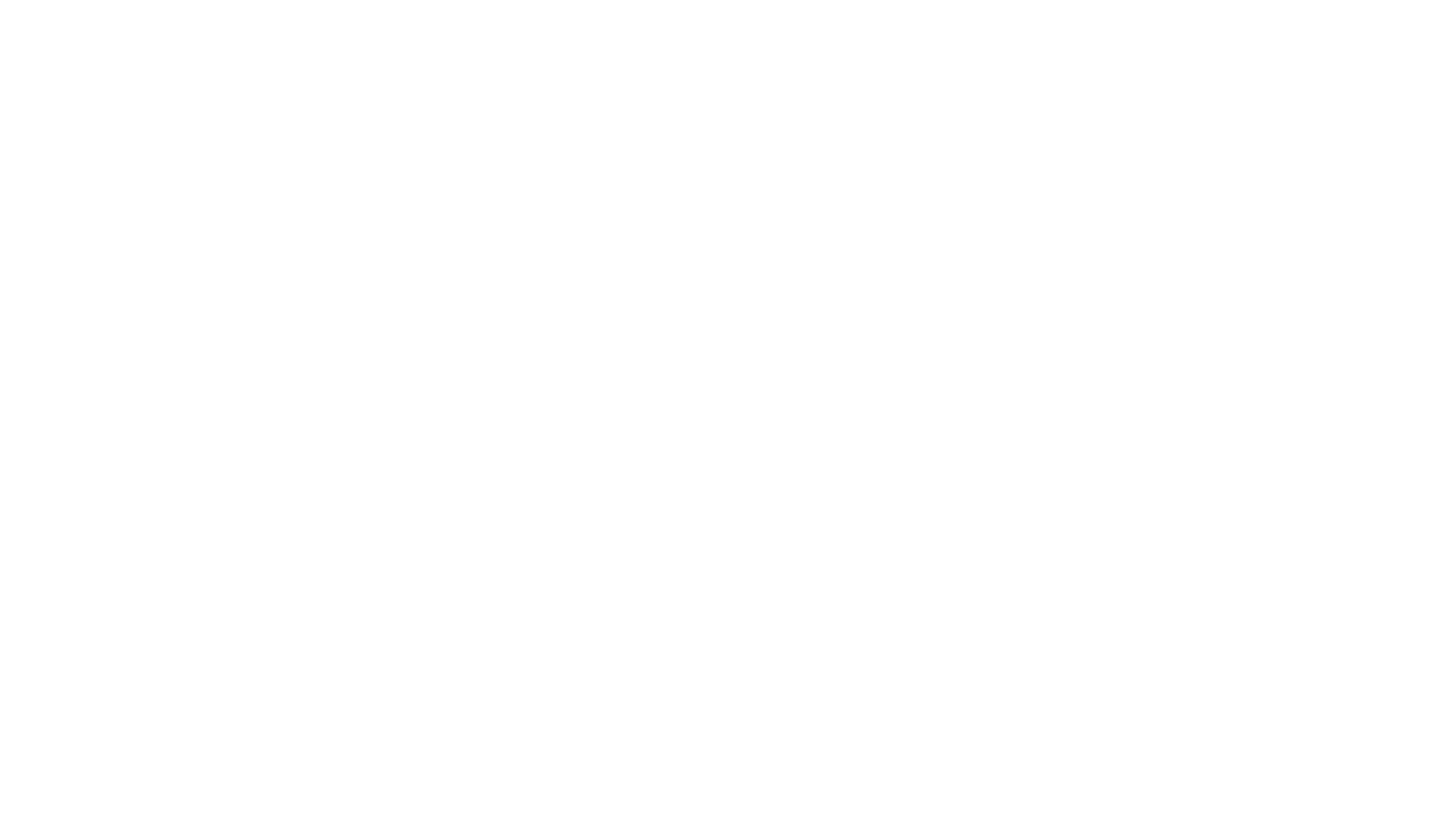 BSX Global Logo